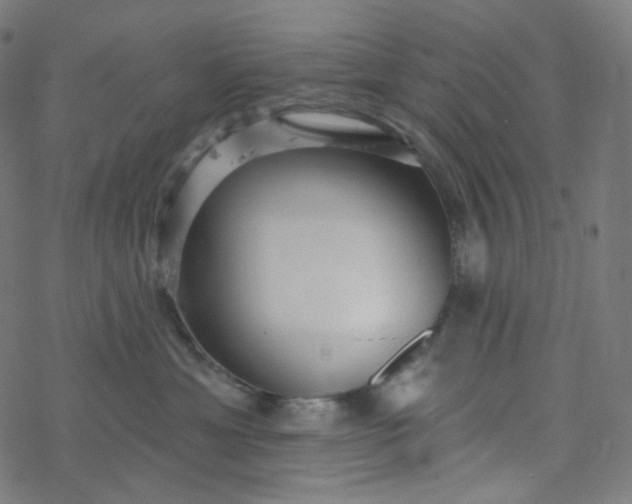 X0000077370429200611031916