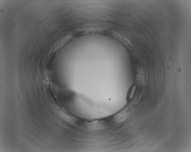 X0000077370430200611031916