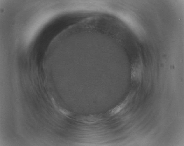 X0000077370431200611031916