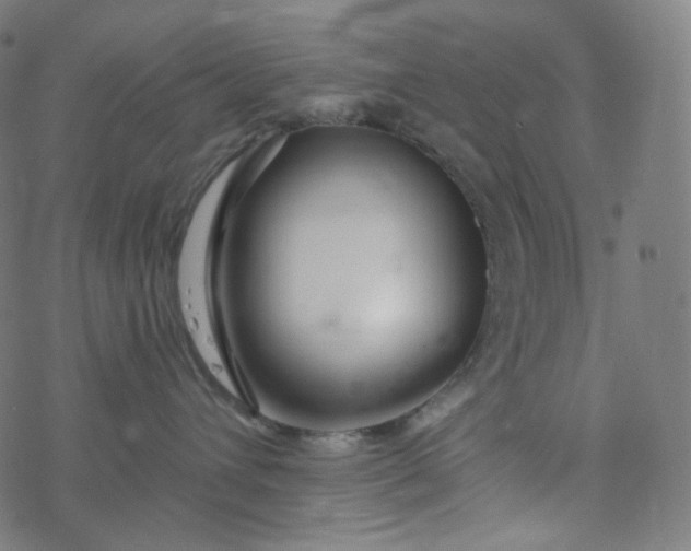 X0000077370432200611031916