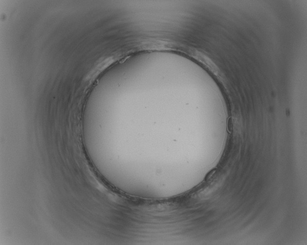 X0000077370433200611031915