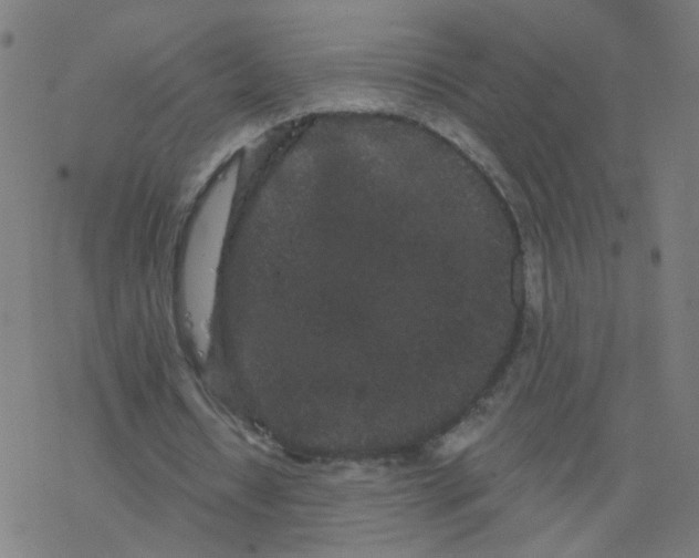 X0000077370434200611031915