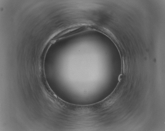 X0000077370435200611031915