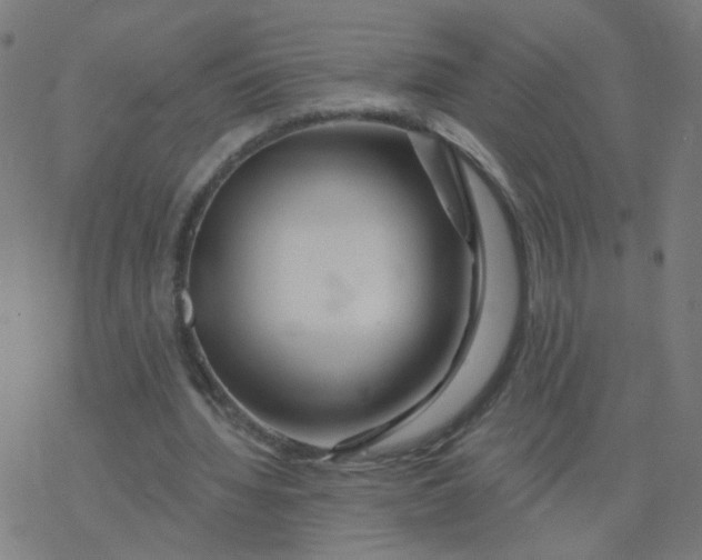 X0000077370436200611031915