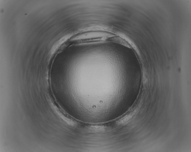 X0000077370437200611031915