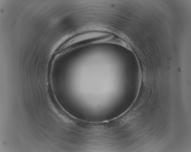 X0000077370438200611031915