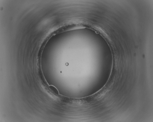 X0000077370439200611031915