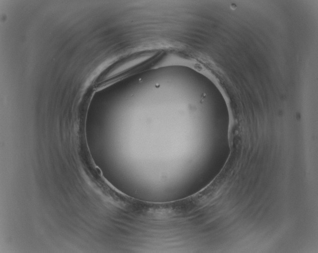 X0000077370440200611031915