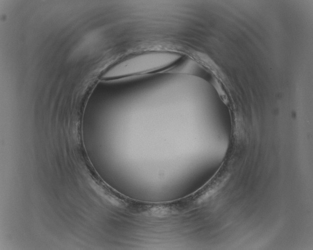 X0000077370441200611031915