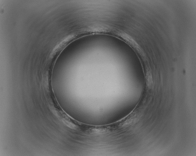 X0000077370442200611031915