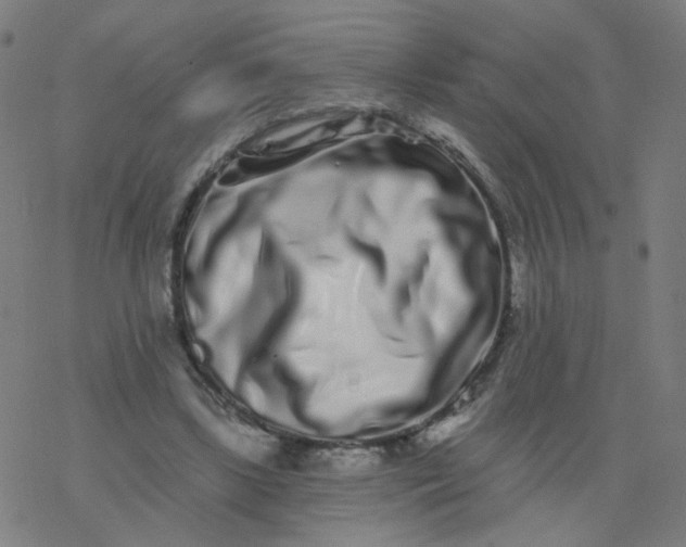 X0000077370443200611031915