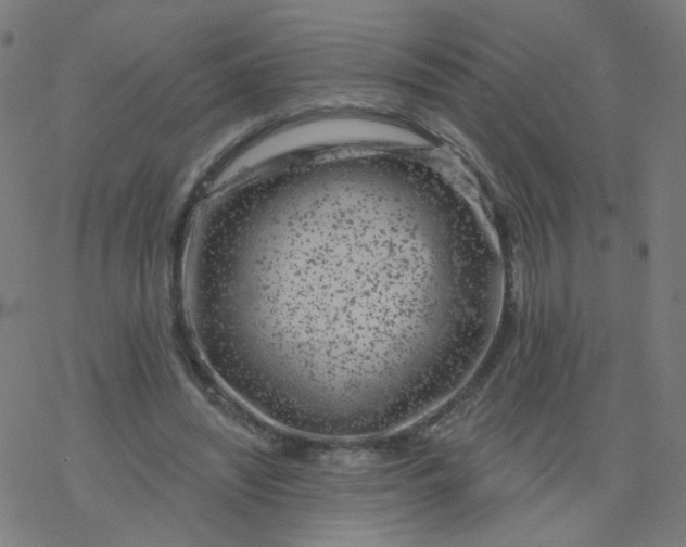 X0000077370444200611031915