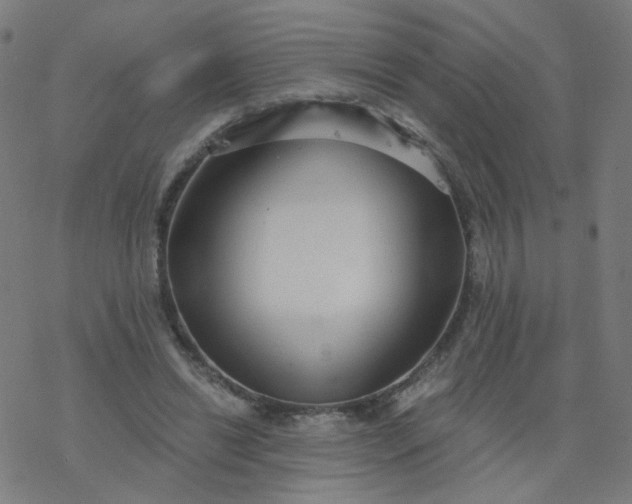 X0000077370446200611031915