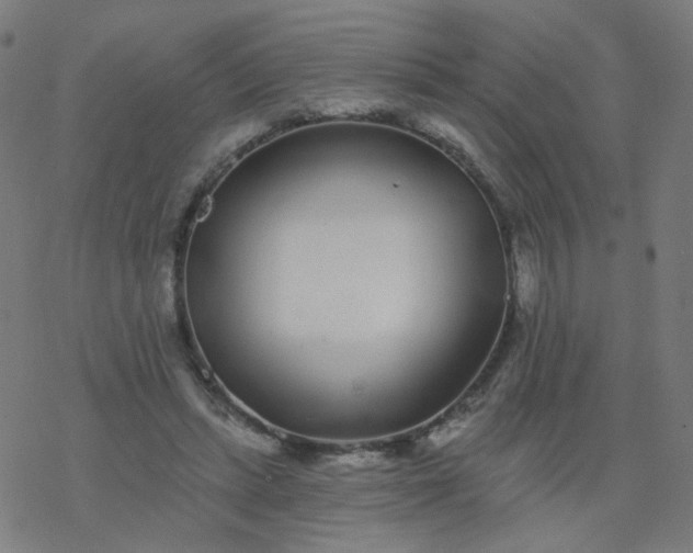 X0000077370447200611031915