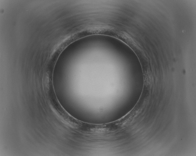 X0000077370448200611031915