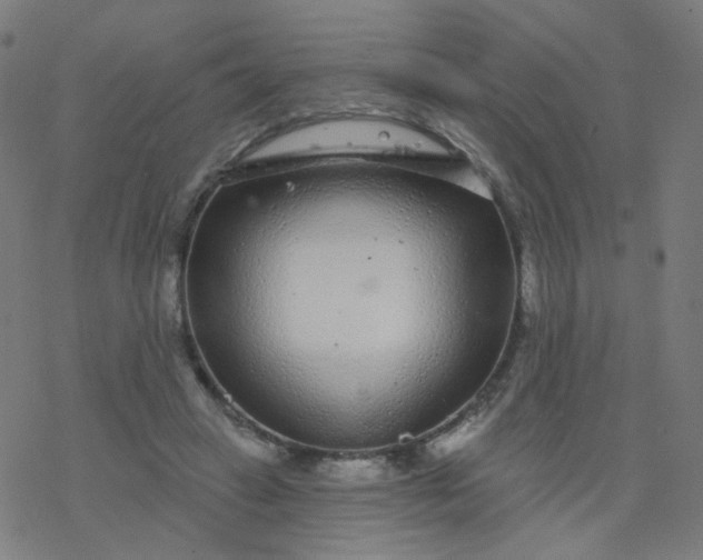 X0000077370449200611031915