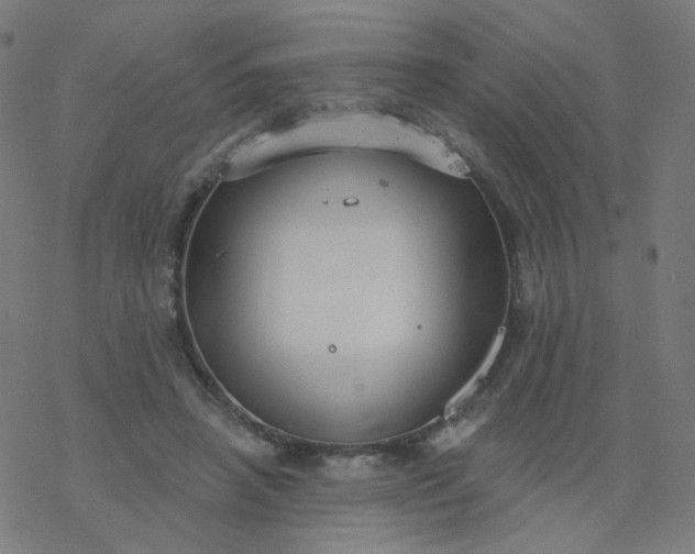 X0000077370450200611031915