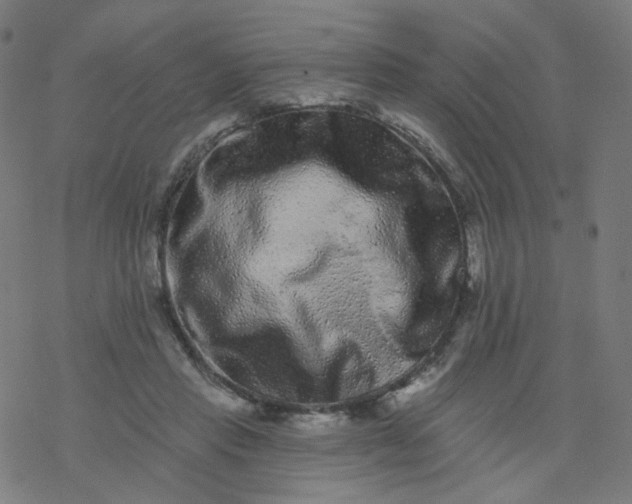 X0000077370453200611031915