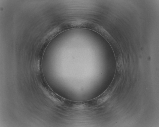 X0000077370454200611031915