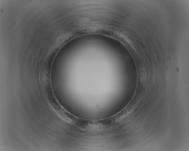 X0000077370455200611031915