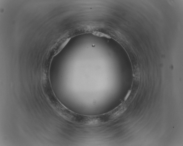 X0000077370456200611031915