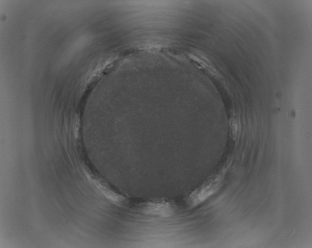 X0000077370458200611031915