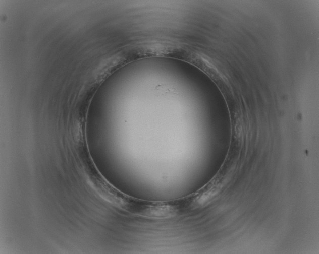 X0000077370459200611031915