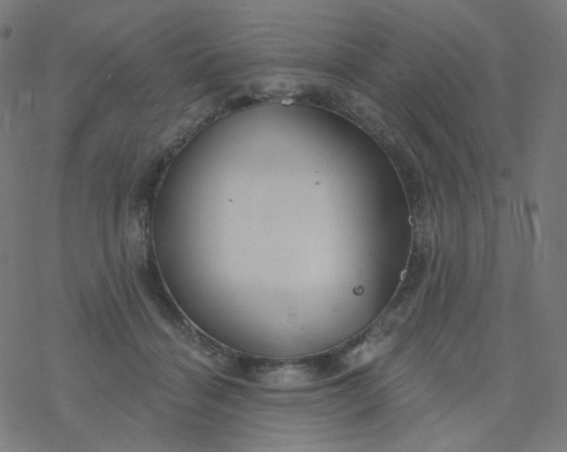 X0000077370460200611031915