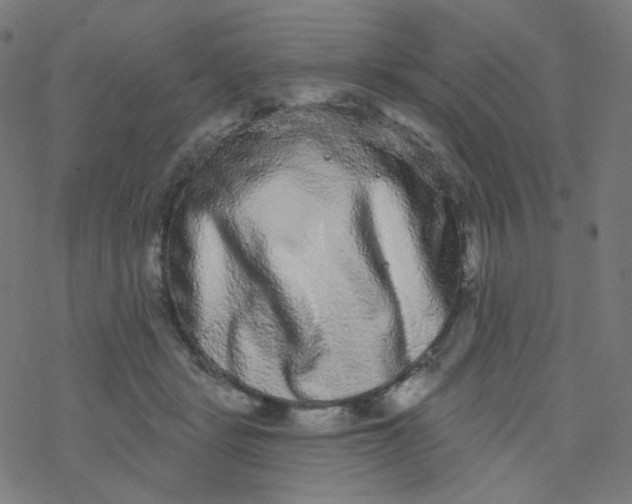 X0000077370461200611031915