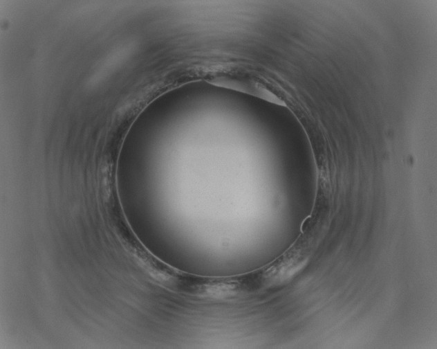 X0000077370462200611031915