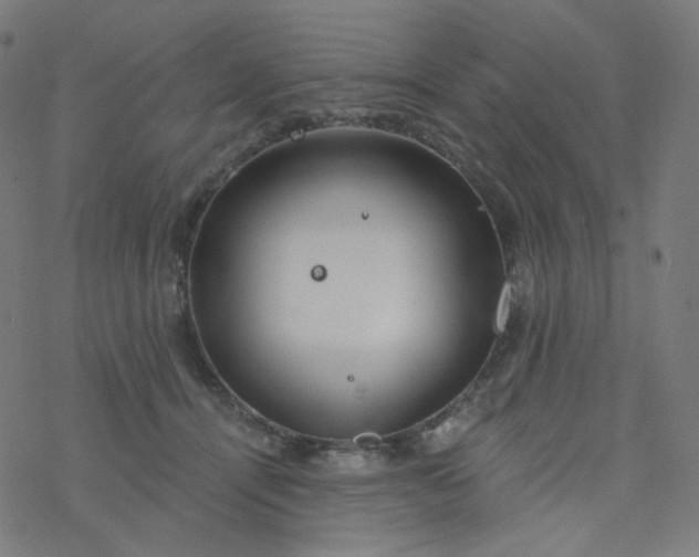 X0000077370464200611031915