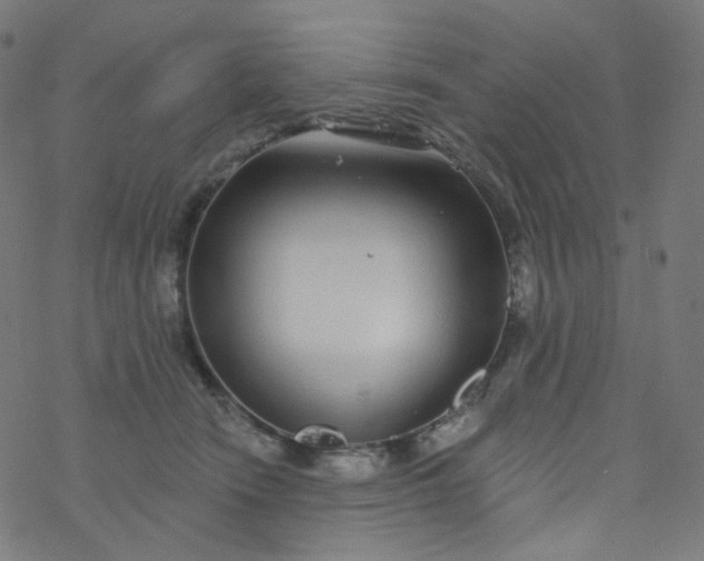 X0000077370466200611031916