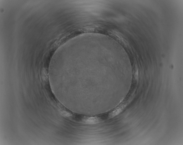 X0000077370467200611031916