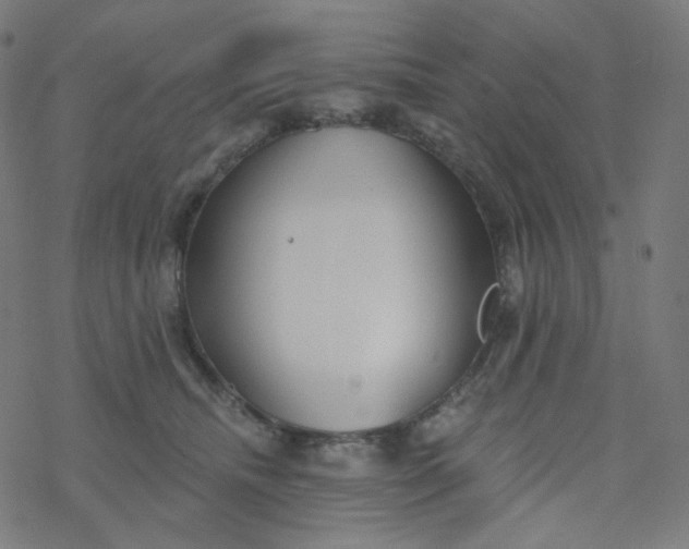 X0000077370468200611031916