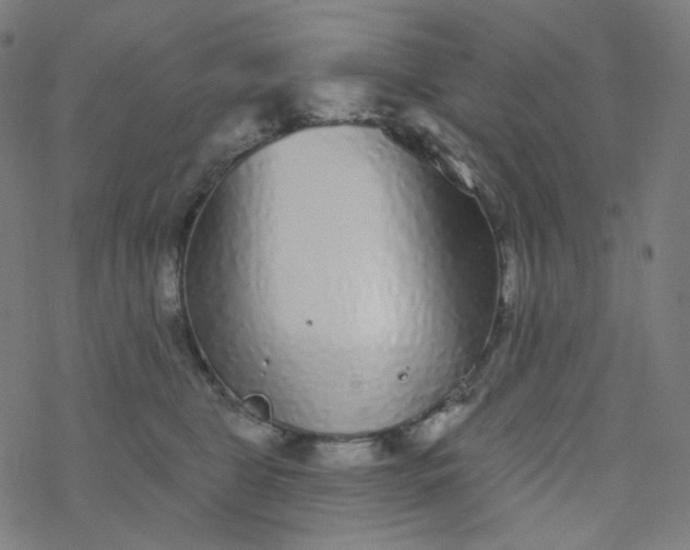 X0000077370469200611031916