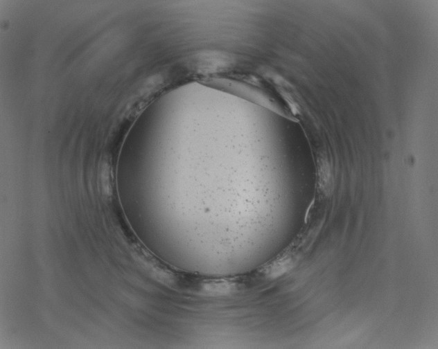 X0000077370470200611031916