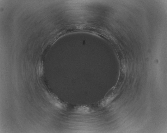 X0000077370471200611031916