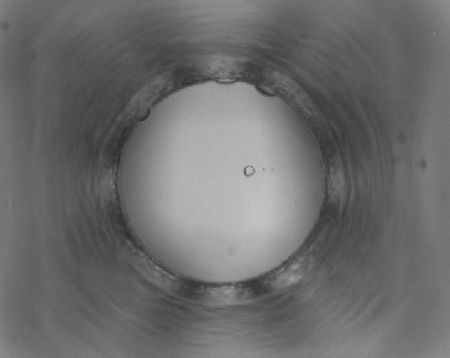 X0000077370473200611031916