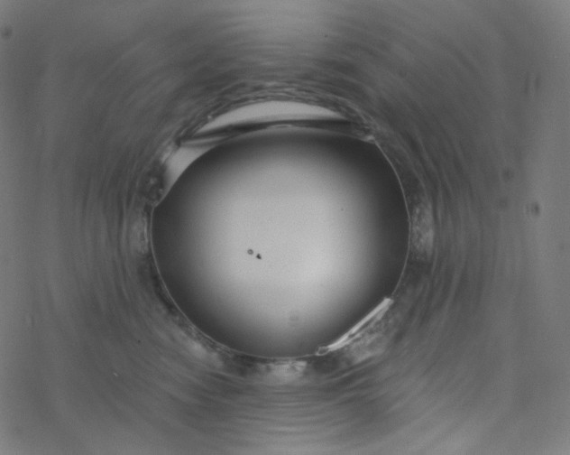 X0000077370474200611031916