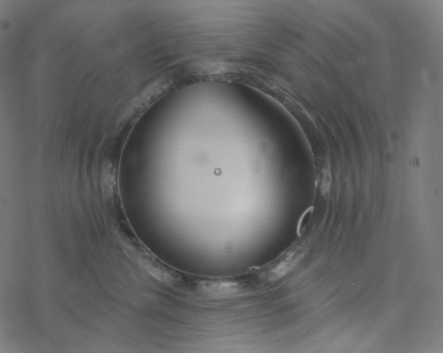 X0000077370476200611031916