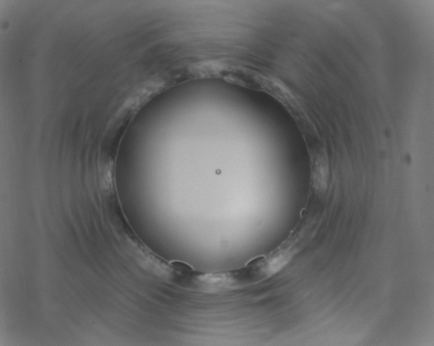 X0000077370477200611031916