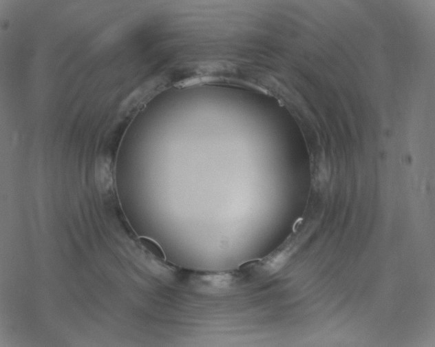 X0000077370478200611031916