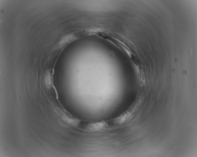 X0000077370479200611031916