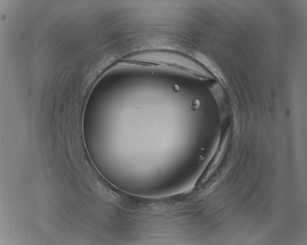 X0000077370481200611031915