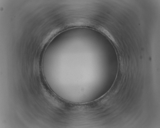 X0000077370482200611031915