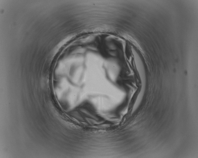 X0000077370483200611031915