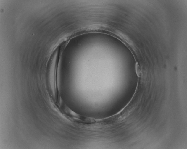 X0000077370485200611031915