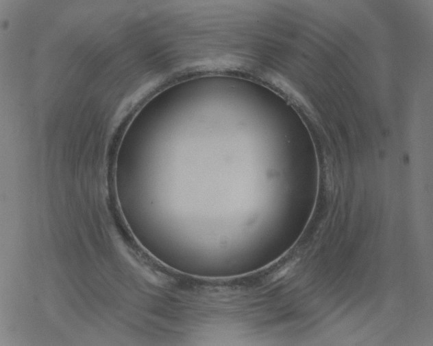 X0000077370486200611031915