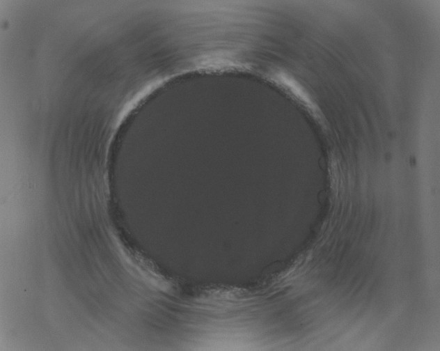 X0000077370488200611031915