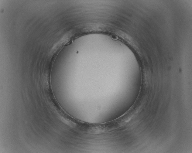 X0000077370489200611031915